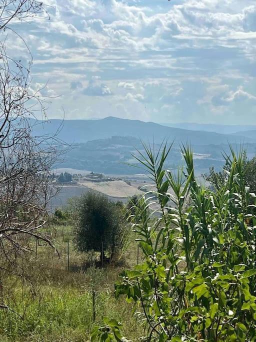 Windrose Blue Blossom Volterra Dış mekan fotoğraf